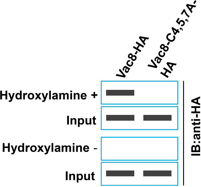 Figure 5