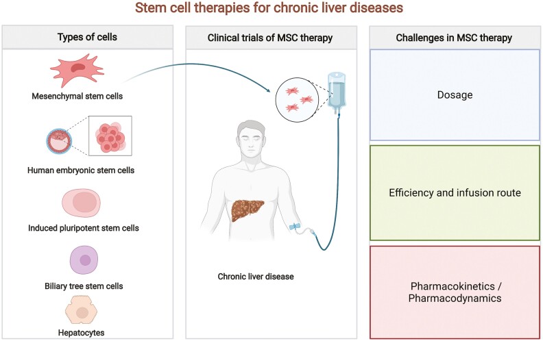 Graphical Abstract