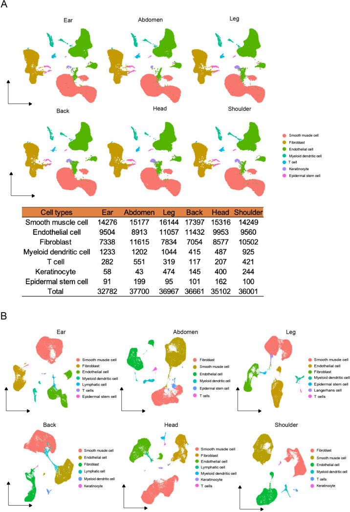 Figure 1—figure supplement 2.