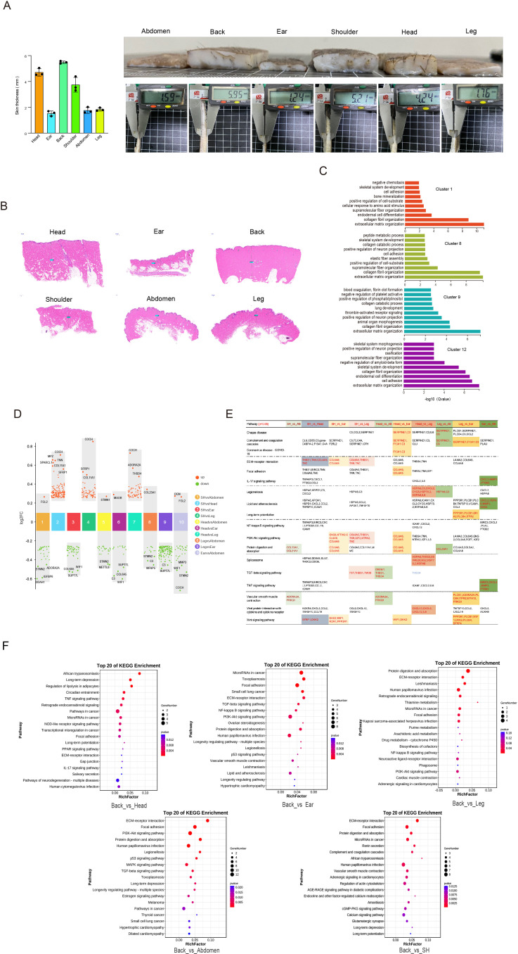 Figure 5—figure supplement 1.