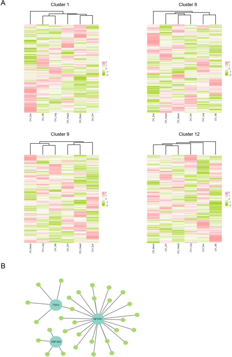 Figure 5—figure supplement 2.