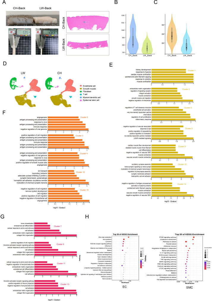 Figure 6—figure supplement 1.