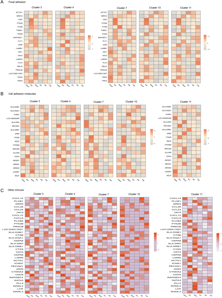 Figure 4—figure supplement 2.