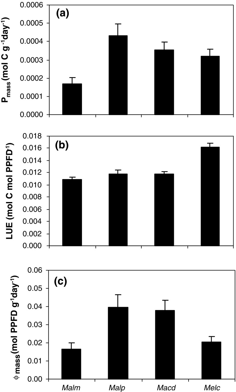 Fig. 4