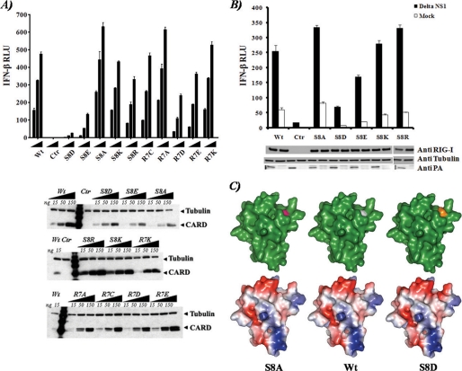 FIGURE 2.