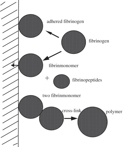 Figure 3.