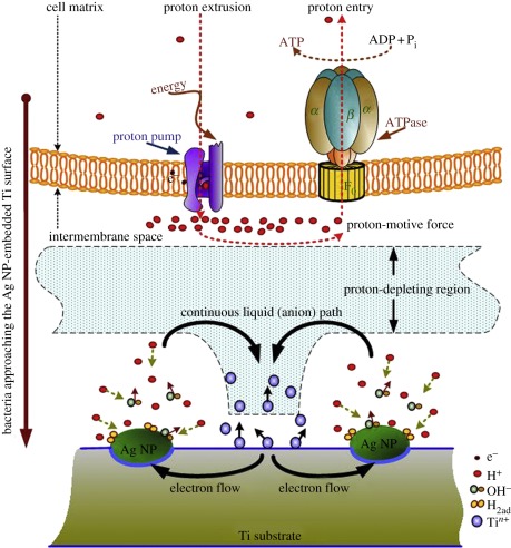 Figure 5.