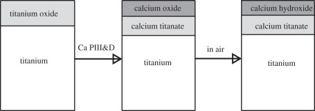 Figure 2.