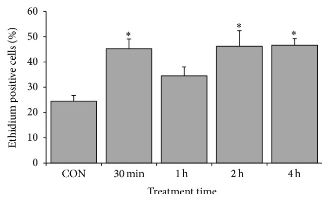 Figure 5