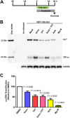 FIG 8