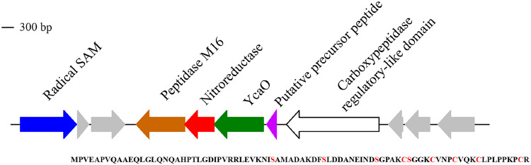 FIG 4