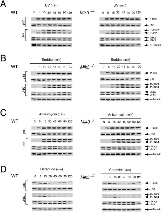 FIG. 8.