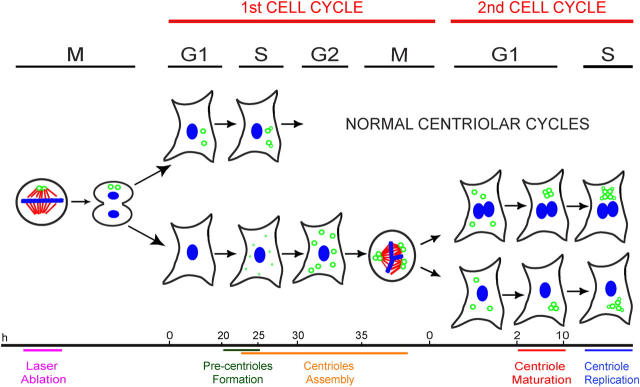 Figure 10.