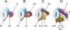 Fig. 9