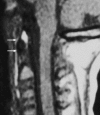 Fig. 24