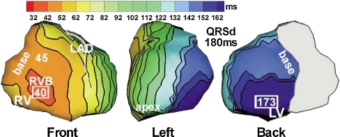 Fig. 3