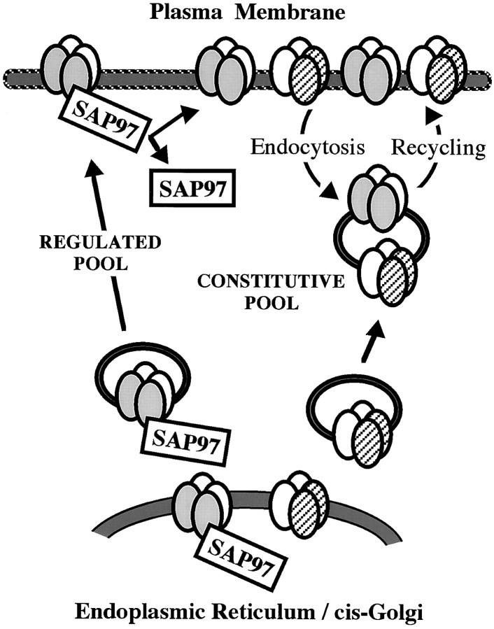 Fig. 8.