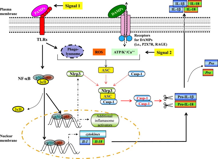 Fig 2