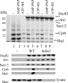 FIG. 6.