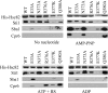 FIG. 3.