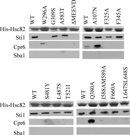 FIG. 5.