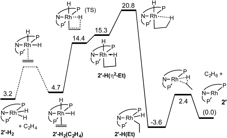 Fig. 2