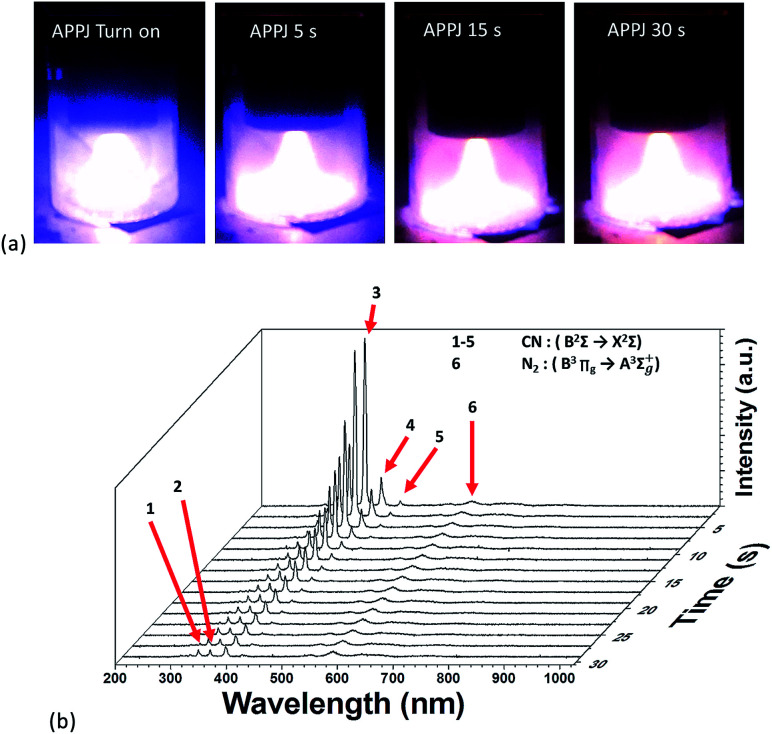 Fig. 2