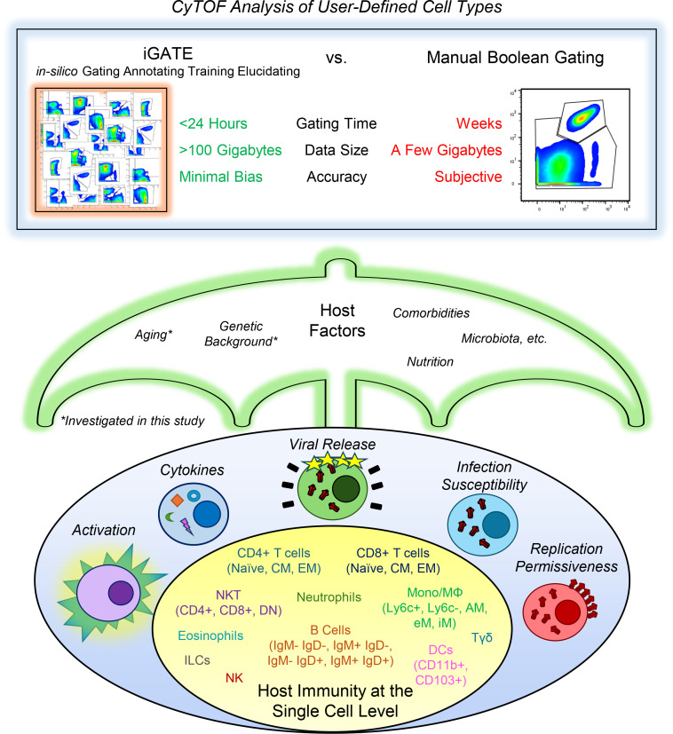graphic file with name jciinsight-9-172140-g063.jpg