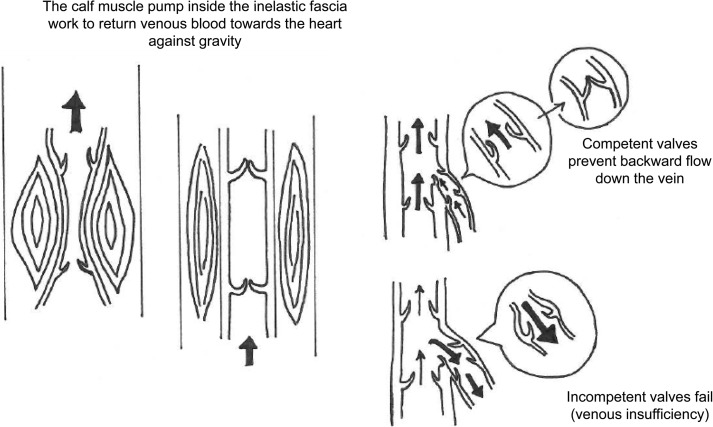 graphic file with name fig-4.jpg