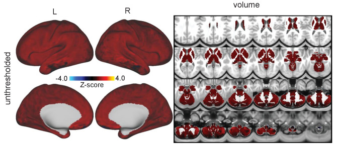 Figure 3—figure supplement 1.