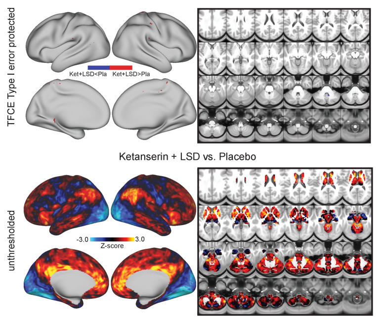 Figure 1—figure supplement 1.