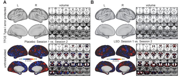 Figure 6—figure supplement 1.