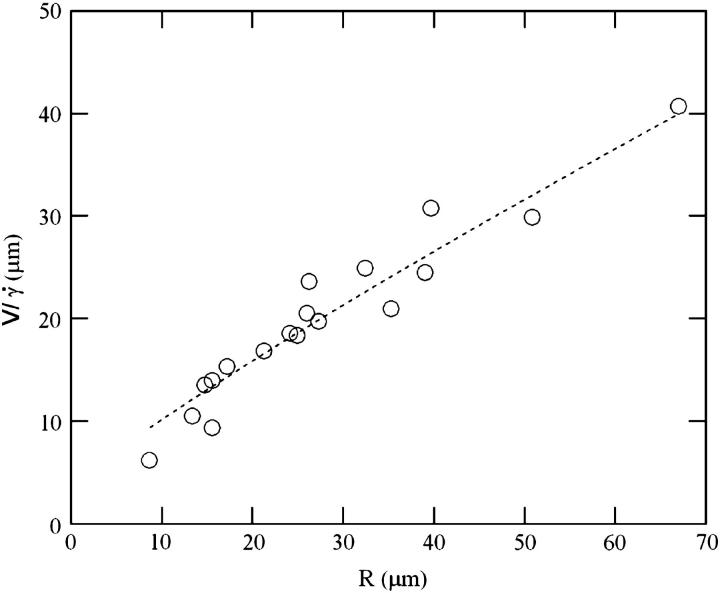 FIGURE 11