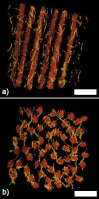 Fig. 10