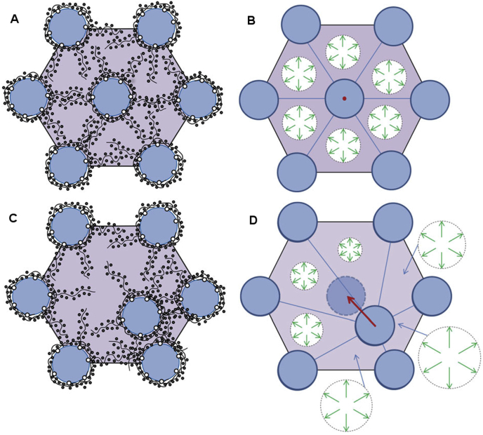 Fig. 11