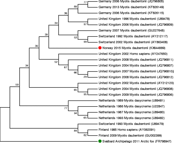 Fig. 2