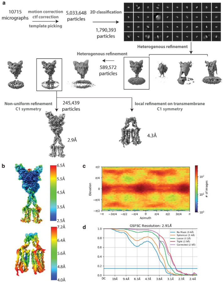 Extended Data Figure 6: