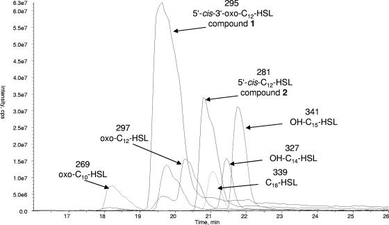 FIG. 2.