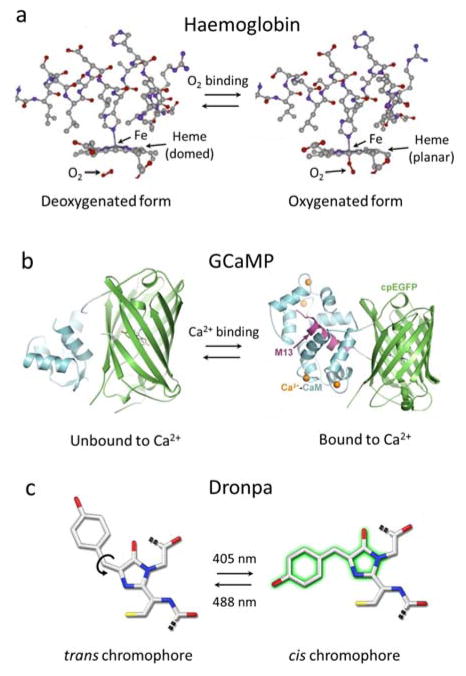 Fig 11