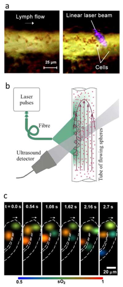 Fig 13