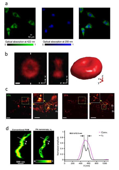 Fig 21