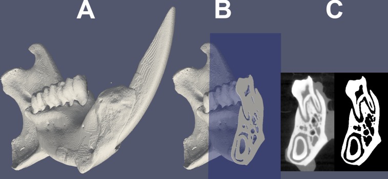 Fig 1