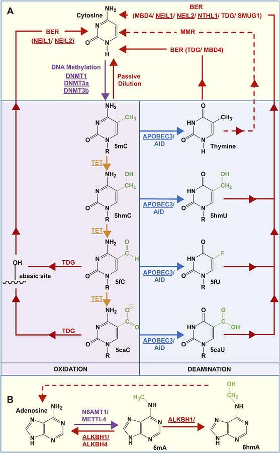 Figure 2: