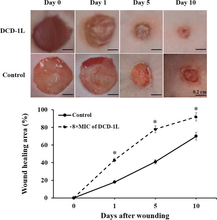 Fig. 6