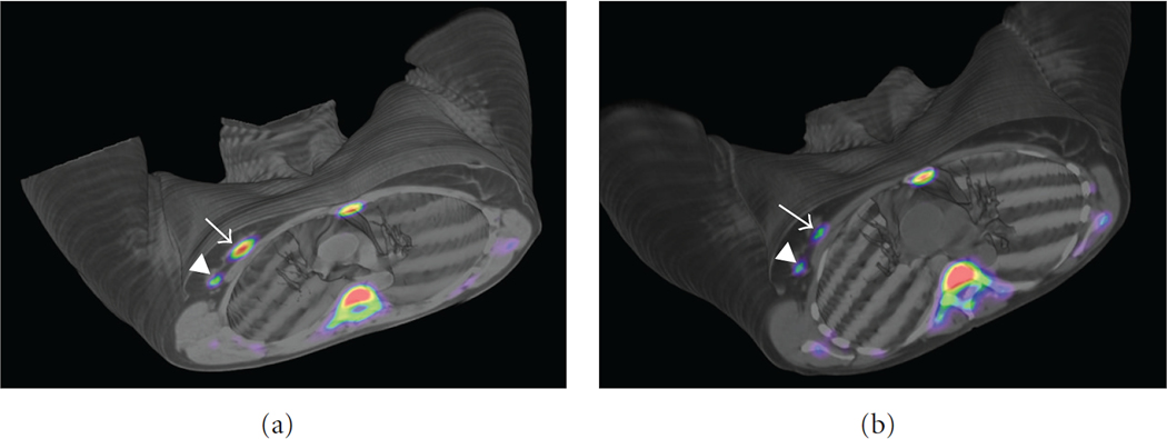 Figure 10: