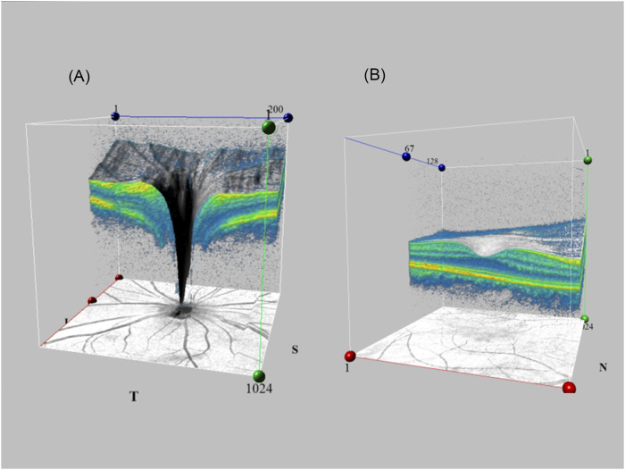 FIGURE 2