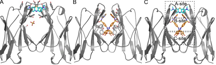 Figure 6.