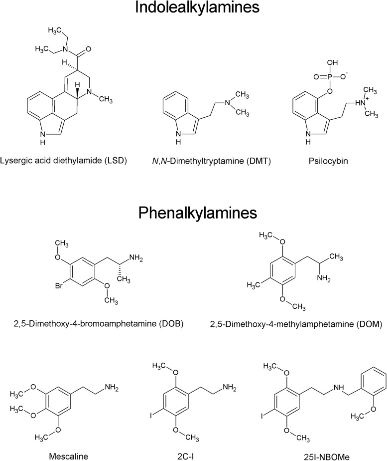 FIGURE 1