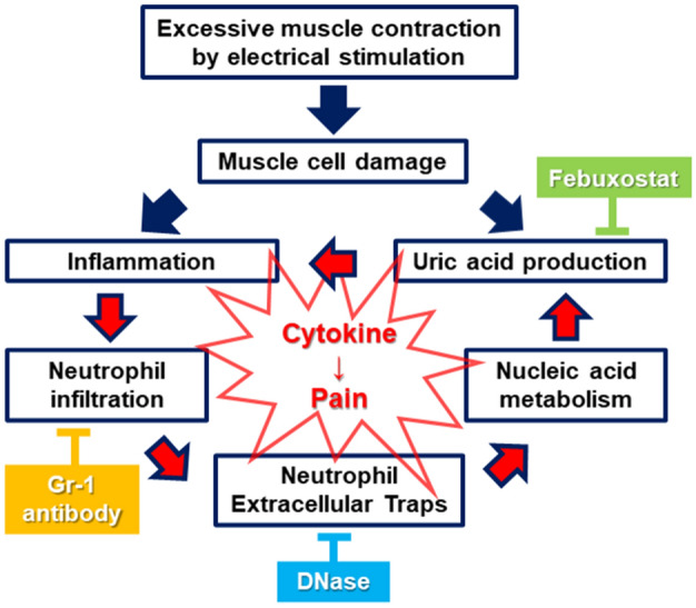 Figure 7