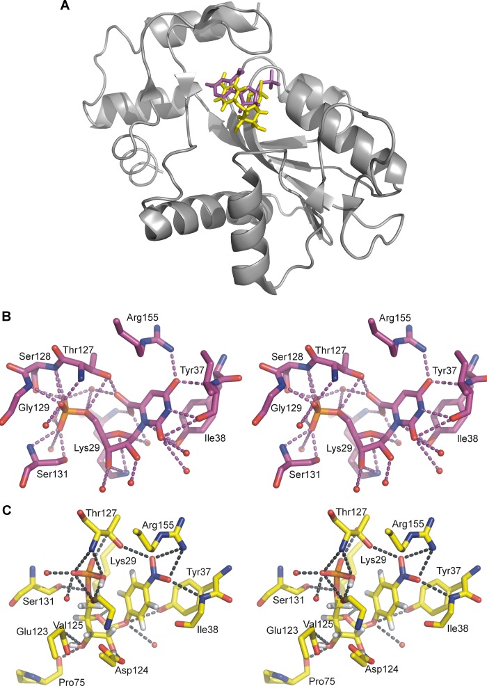 FIGURE 4.